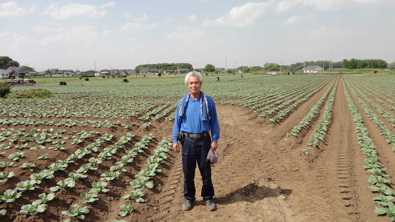 収穫した野菜の選別