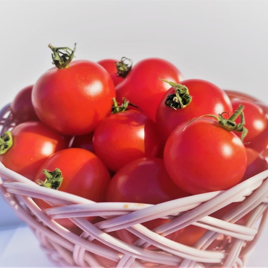 ミニトマト (Mini Tomato)