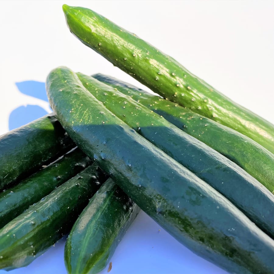 胡瓜 (Cucumber)