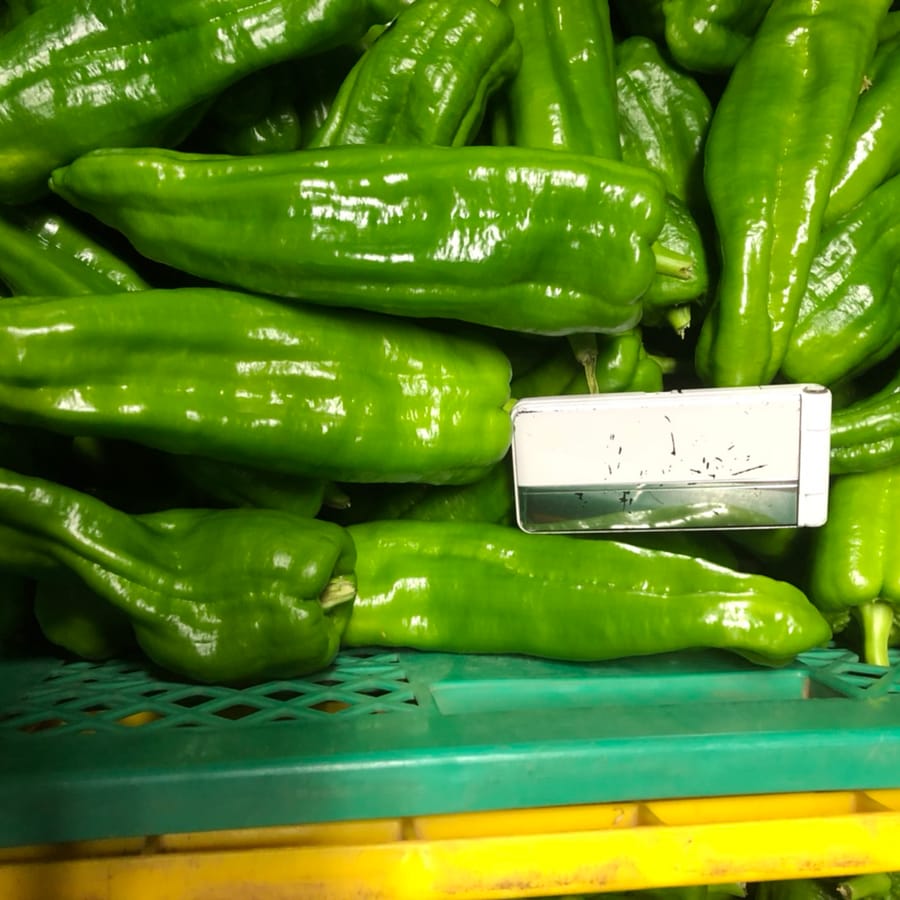 ピーマン (Bell Pepper)