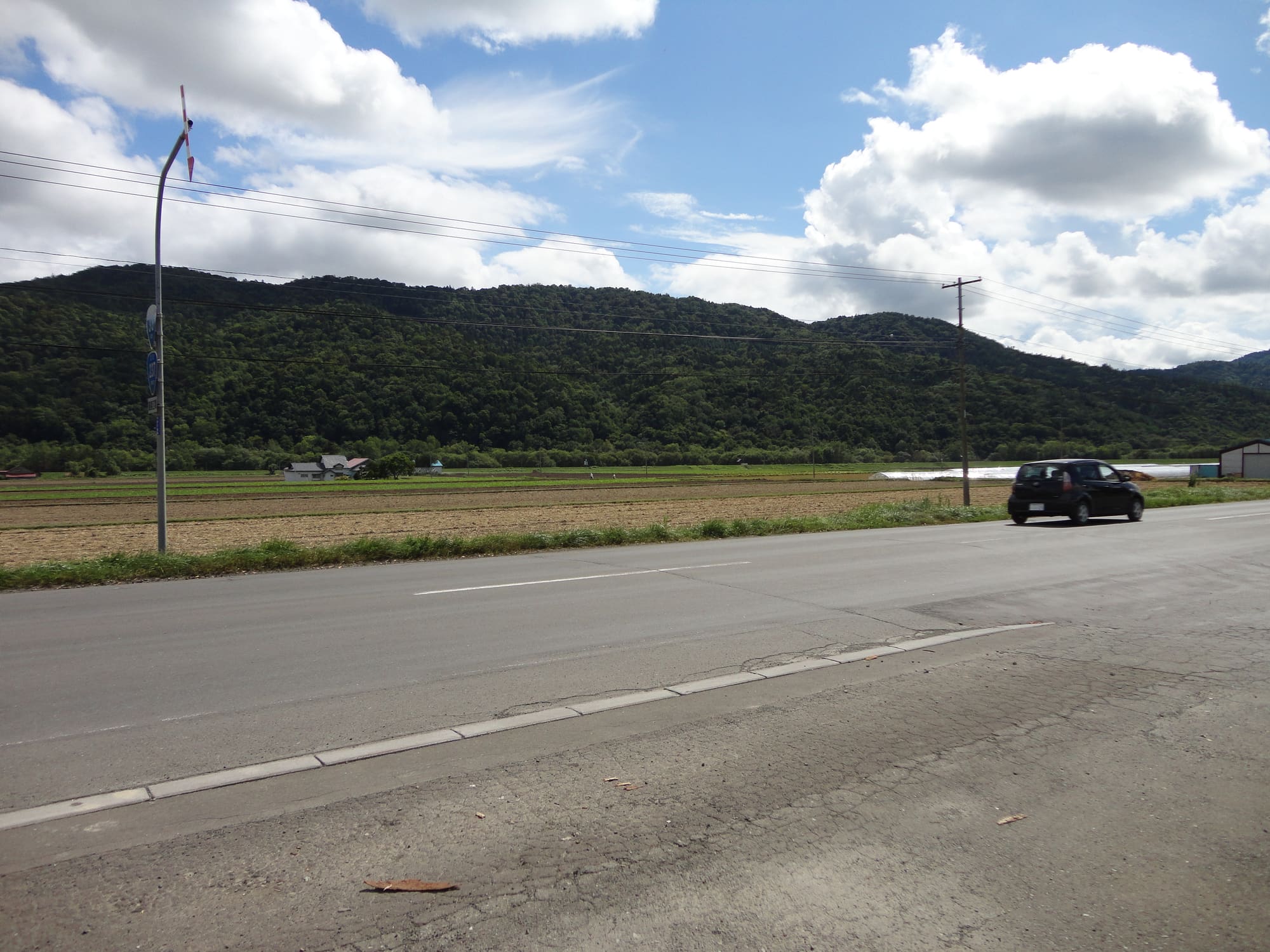 北海道の畑と生産者の風景