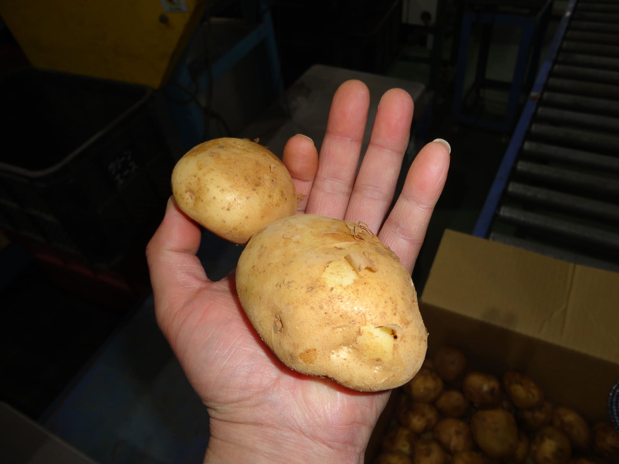 出荷拠点で働くスタッフの様子